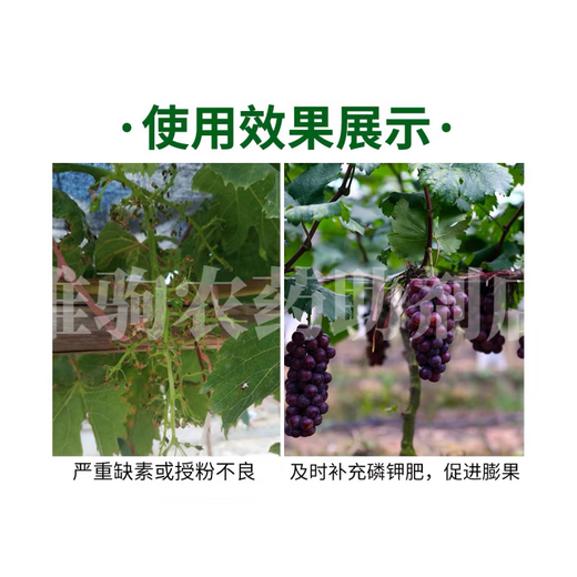 Yongfan Potassium Dihydrogen Phosphate Foliar Fertilizer Flower Fertilizer Rice Fruit Tree Promotes Flowering and Fruit Agricultural General Phosphorus and Potassium Fertilizer 20KG*1 Bag