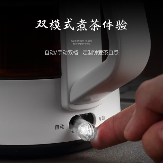 LIFE ELEMENT health kettle 0.8L office mini steam spray type automatic/manual double-speed tea kettle electric kettle private flower tea kettle I72