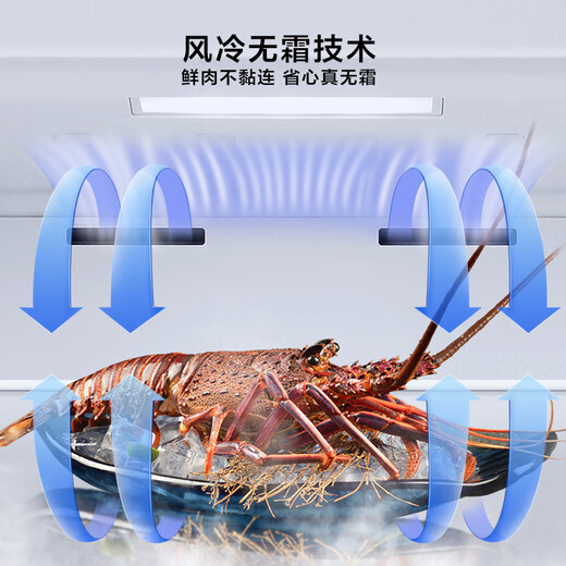 Hisense 200 liter vertical freezer for home use -40 deep cooling air-cooled frost-free antibacterial freezer maternal and infant breast milk refrigeration and freezing conversion drawer single door refrigerator BD-200WVUT