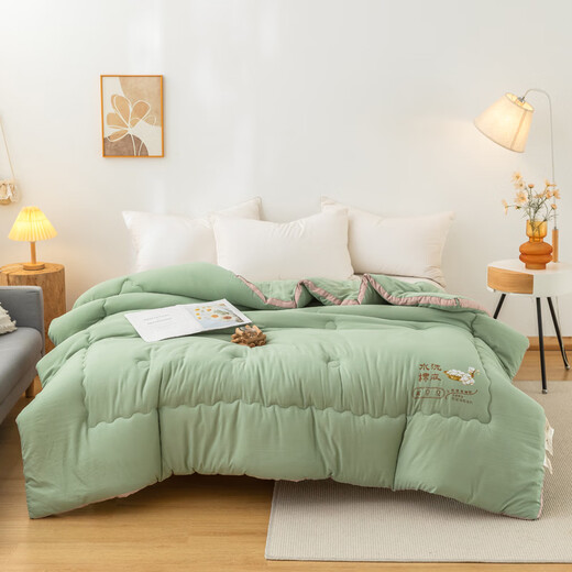 Yalu Home Textile Class A soybean fiber quilt in winter quilt thickened 10 Jin [Jin equals 0.5 kg] Double winter quilt single person 6 Jin [Jin equals 0.5 kg] Space quilt Miya-green [A maternal and infant grade soy protein] 200x230cm10 Jin [Jin equals 0.5 kg] Thickened winter quilt