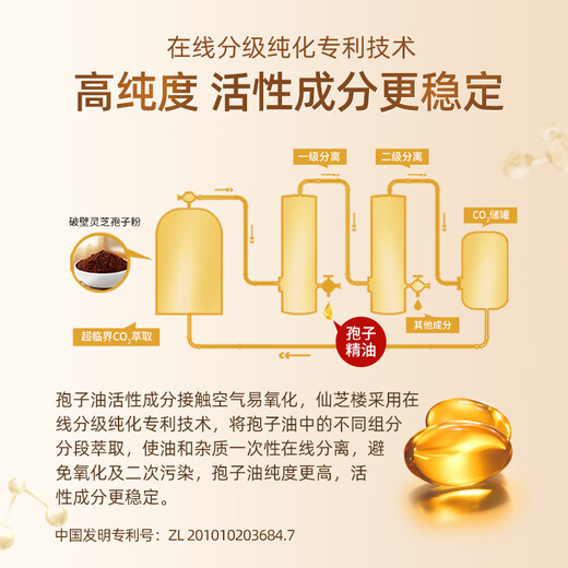 仙芝楼 灵芝孢子油软胶囊 破壁灵芝孢子粉精华萃取 0.5g/粒*10粒/盒 