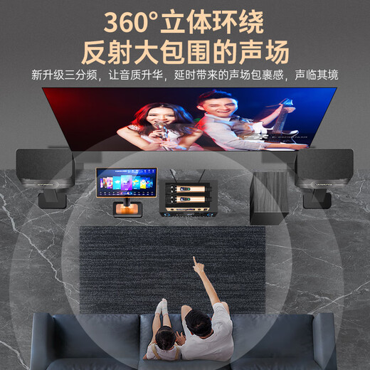 Hyundai Modernes Heimkino-Gesangsmaschine KTV Audio Set High-Power-Verstärker Karaoke Home Singing Equipment Wohnzimmer Konferenzraumkartenpaket Lautsprecher [Professionelle Version] 10-Zoll-Audio-Gesangsmaschine + 10-Zoll-Subwoofer