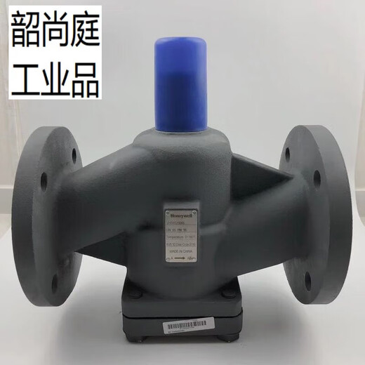 Durchflussventil VH58ED30065/80/100/125/150/200/250 VH58ED30100 DN100