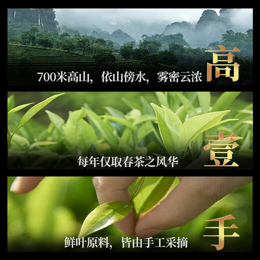 宋凰乌龙茶密韵大单凤凰单丛单枞蜜兰香特级210g中火礼盒装茶叶送领导