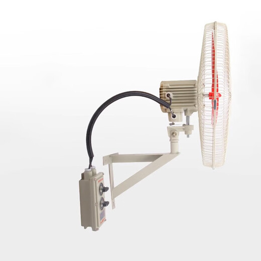 Jinggong Jingxuan Explosion-proof Industrial Fan Explosion-proof Shaking Fan Wall/Floor-Standing FB-500/750 Series Explosion-proof Electric Fan Wall-type with Speed Switch FB-750/220V
