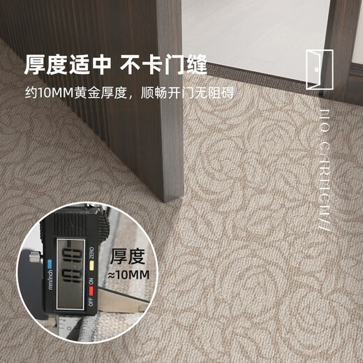 地垫入户门垫感门口玄关脚垫耐脏免洗地毯家用门外可裁剪垫子 雾里-14110 1件数 80CM*120CM入户小尺寸推荐