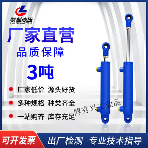 50 cylinder diameter hydraulic cylinder two-way hydraulic cylinder lifting type oil top 3 tons small hydraulic cylinder hydraulic top thousand Jin Jin is equal to 0.5 kg top 50*300 (solid electroplating)