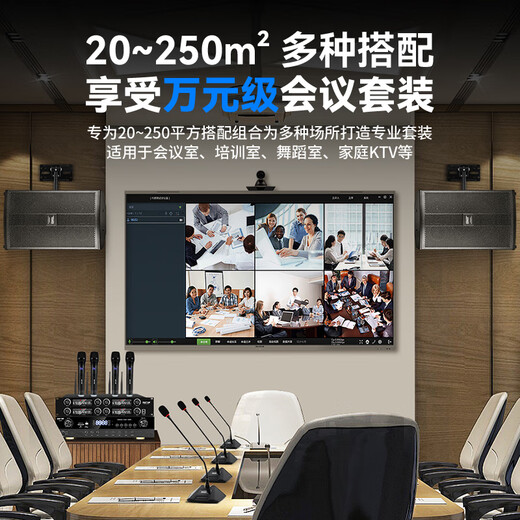 先科 会议室音响套装组合10英寸家庭KTV背景音乐培训会议专用设备系统蓝牙功放壁挂音箱VD-201/K3V