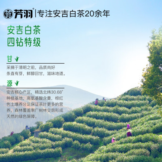 Fangyu Anji White Tea Special Four Diamond Mingqian Green Tea 250g New Tea in 2025 Bag Tea Leaves