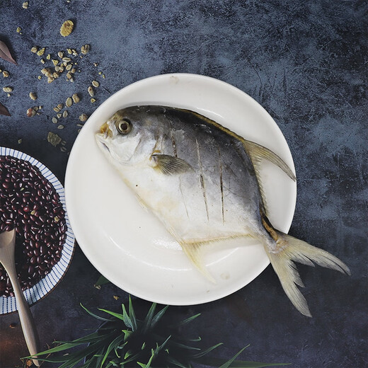 
Guangdong Sea Tongchang Golden Pomfret Zhanjiang Specialty Jinchang Fish Light-drying One Night Garden Golden Pomfret Jinchang Fish Light-drying Sea Flavoring Three Golden Pomfrets 1050g