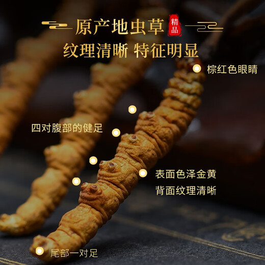 雄风道藏区雪域冬虫夏草4根/克（规格）正宗虫草高海拔 送礼佳品 4根/克(规格) 40根礼盒装