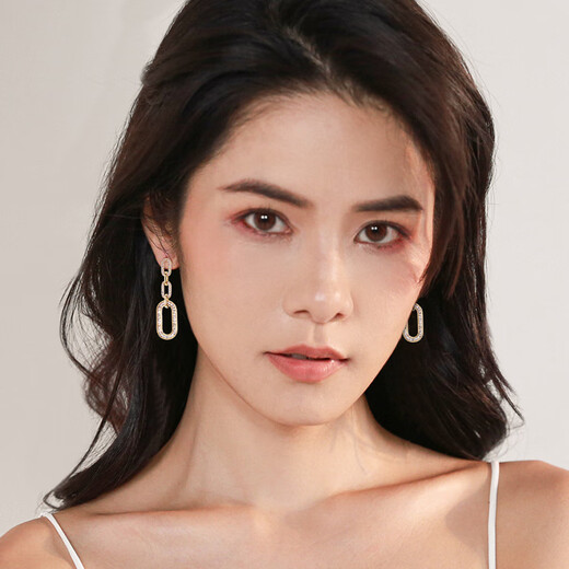 Qlady temperament geometric silver earrings women's fashion long 925 silver needle earrings niche design light luxury high-end autumn and winter earrings birthday gifts for girlfriends and wives