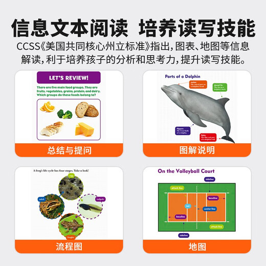 点读版 美国Jump百科分级读物-BullfrogBooks 牛蛙系列D盒 32册 新一代科学标准 提升英语学习力 英文原版 5 - 8 岁 蓝思值50L - 400L