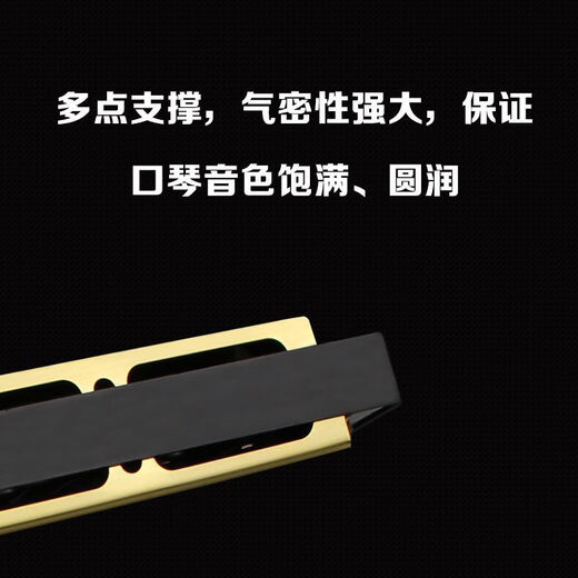 FEIFAN24孔金属c调复音口琴儿童口琴学生初学者成人乐器 黑色