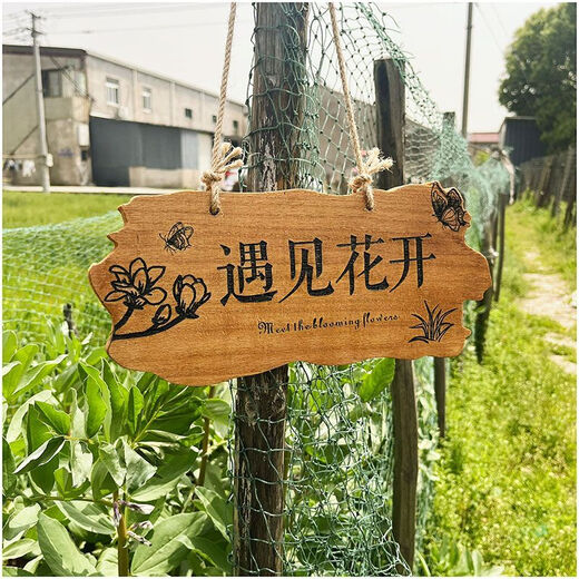 Solid wood customized garden tree sign, courtyard door sign, creative new Chinese style decorative sign, internet celebrity outdoor lettering, style 6, original warm days, 30*14CM regular style