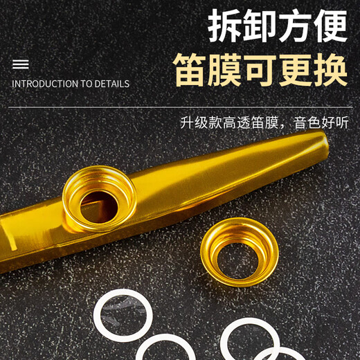 
LNGA LANDGRE Kazudi Metal Guitar Ukulele Accompaniment Unpopular Small Musical Instruments Simple Gold (Give a full set of gifts) Tooth protection model Sky blue (Give a good gift with lanyard)