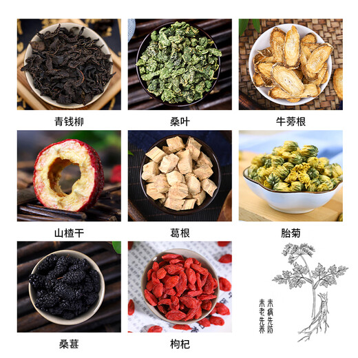 北京同仁堂原料青钱柳牛蒡根桑叶山楂葛根玉米须茶水中药材胎菊桑葚椹售枸杞 【1大罐】牛蒡根(250g/罐)