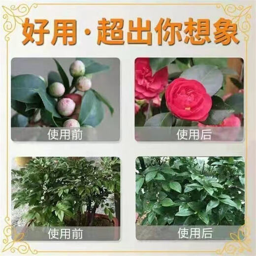 Wenshiou Potassium Dihydrogen Phosphate Fertilizer Flower Special Foliar Fertilizer Potassium Fertilizer Phosphate Fertilizer Flower Fertilizer Flowers, Fruit Trees and Vegetables General Fertilizer Potassium Dihydrogen Phosphate Five Jin Jin equal to 0.5 kg High Purity