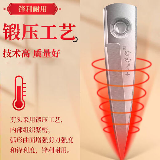 Achtzehn Scheren für Home Office, Küchenschere, rollengeschmiedeter Edelstahl, Schneiderschere, multifunktionale Spitzschere, Papierschere, kleine Schere SB2022