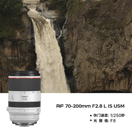Canon r5 professional micro single camera bird shooting equipment digital camera eos r5 full frame Vlog camera 8K video shooting R5 body disassembled + RF70-200 F2.8 lens Package three [original shoulder bag + external photo fill light + professional photography tripod]