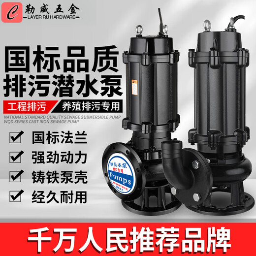 Pompe d'eaux usées WQ pour les personnes 380V Shanghai en trois phases non bloquant 7,5kw1.5kw2.2kw4kw3 Pumpe d'eaux usées submersible National Standard Bride 65WQ15911 Standard
