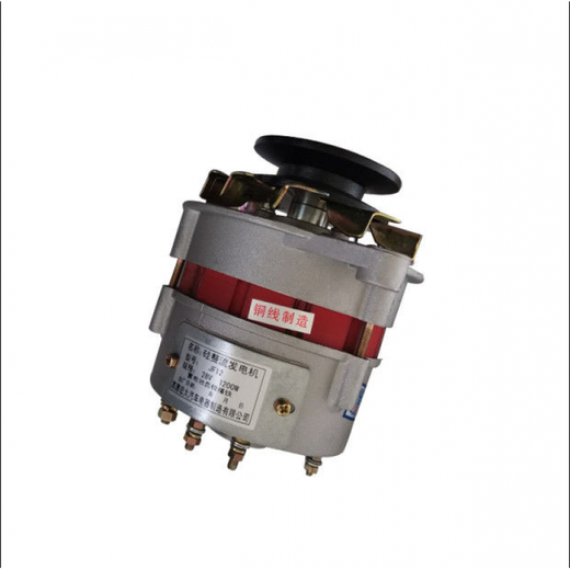 悦常盛农用车12v24v新铜时风动单缸柴油机发电机 无调铝线12V左旋JF11166-5