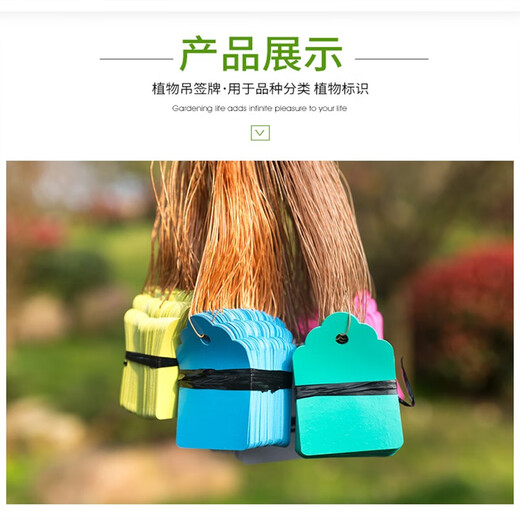 Shipton plastic experimental small tag green plant flower tag waterproof tag gardening seedling tag orchid plant tag 5*7 white 100 sheets