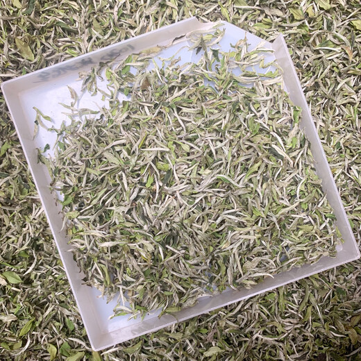 Fuding White Tea 2022 Fuding Guanyangchun Tea Flower Fragrant White Alpine Sun-Dried White Tea Loose Tea Pack 500g Manufacturer 2022 Peony 1051
