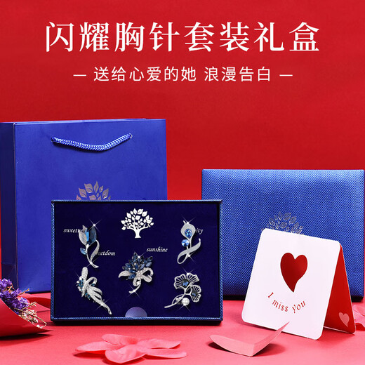 Ancient brooch, high-end women's exquisite niche corsage gift box, light luxury and elegant pin, silk scarf buckle birthday gift for women, practical bouquet fashion brooch 5-piece set-gift box