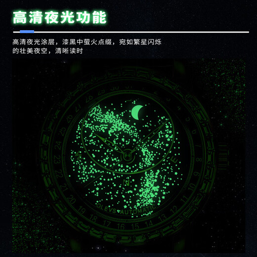 欧利时（OLEVS）瑞士认证品牌手表男机械表全自动男士手表夜光防水高档满天星男表 OLEVS-9923-银壳钻圈
