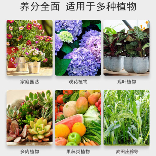 U.S. foreign urea quick-acting nitrogen fertilizer for flowers, vegetables and fruit trees, cauliflower, household potted plants, general-purpose fertilizer Urea (nitrogen fertilizer) 5Jin Jin is equal to 0.5kg