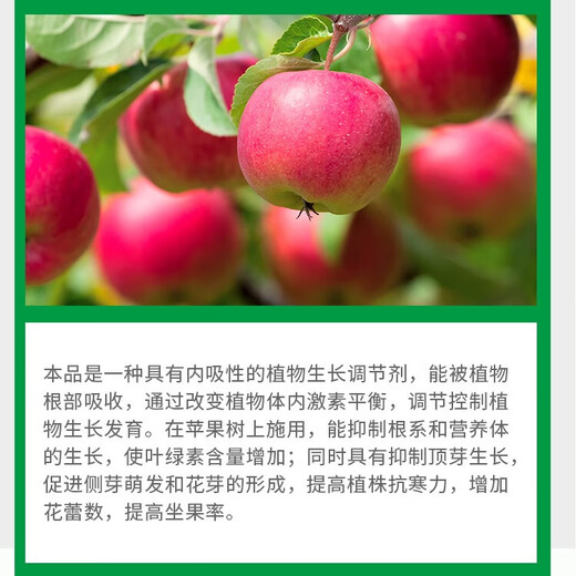 Hulian Plant Protection Controls Paclobutrazol 25% Dwarfing Agent Chlormequat Apple Fruit Tree Controls Excessive Leggy Growth Regulator 1KG