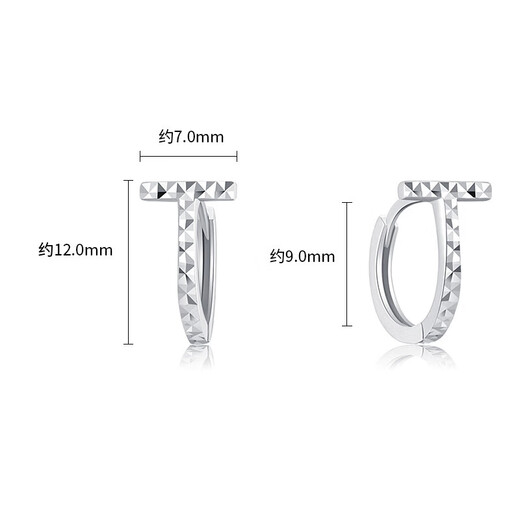 Trendy Acer to Jane PT950 platinum earrings for women, letter T as a birthday gift for girlfriend, one pair, about 1.95g