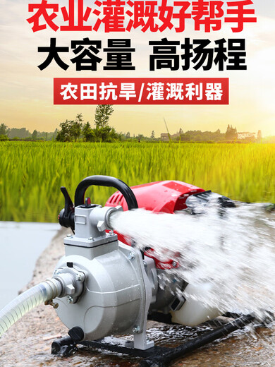 YAY imported Yamaha gasoline pump water pump irrigation agricultural small self-priming pump high lift large flow watering machine 140 four-stroke 1.5 inch + send 4 meters in + 20 meters out