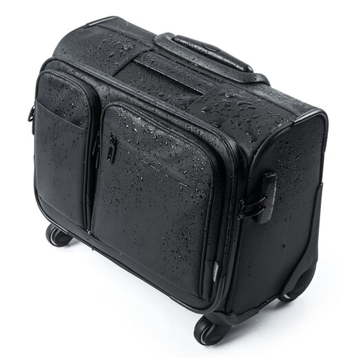 SANWA SUPPLY短期差旅拉杆箱 小型商务登机箱 TSA密码锁行李箱拉杆包 20英寸 
