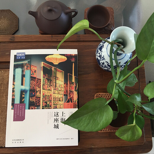 遇见上海，这座城