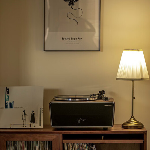 Syitren PARON PRO household all-in-one vinyl record player carbon fiber tone arm HIFi retro moving magnet gramophone Bluetooth speaker PARON PRO+ dust cover