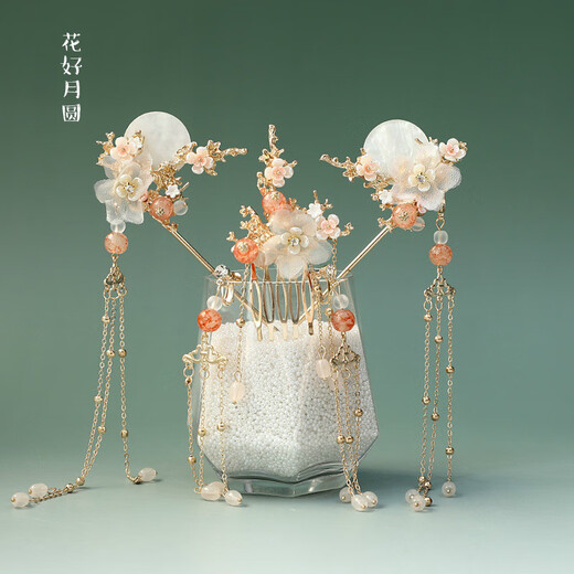 Wanbaozi Hanfu headwear, tassels, ancient style hair accessories, ancient hairpins, full set of super fairy costume accessories, hair crown, hair crown + pair of hairpins + ear hooks