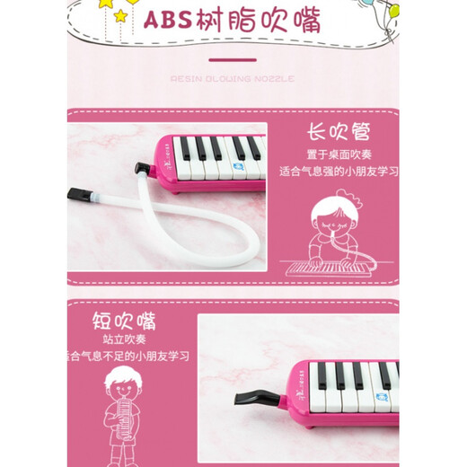 37键小学生用口琴儿童初学者口琴演奏成人可用  演奏说明定制款 37键口风琴【黑色】
