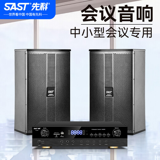 先科 会议室音响套装组合10英寸家庭KTV背景音乐培训会议专用设备系统蓝牙功放壁挂音箱VD-201/K3V