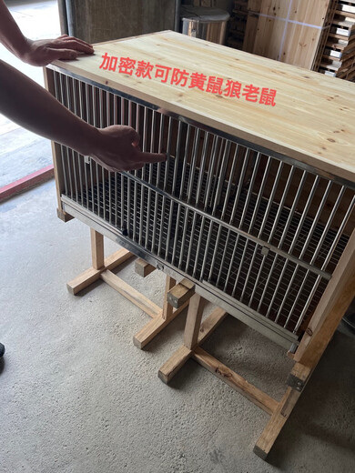 赛鸽巢箱鸽窝孵化养殖配对繁殖笼鸽子抱窝实木不绣钢配对信鸽笼子 加密配踏板83cm长50cm宽47cm高一个288