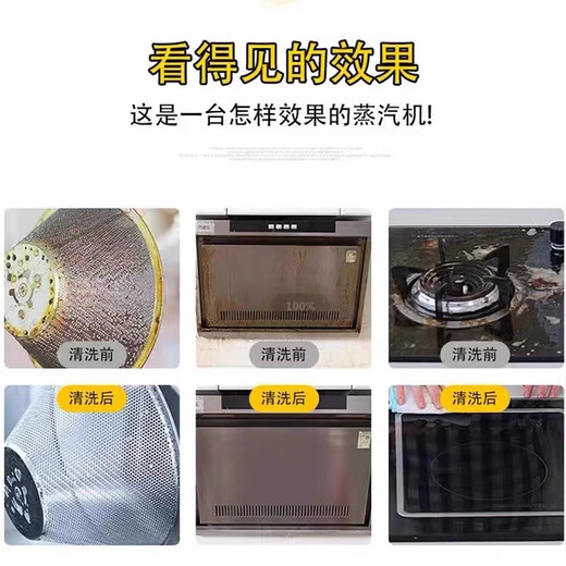 Ruizhi household appliances, commercial multi-function, full set of air-conditioning, kitchen special cleaning all-in-one machine, high pressure and high temperature steam cleaning machine, disinfection, car beauty film, interior nail removal, 2600W household upgraded controllable spray gun + spotlight