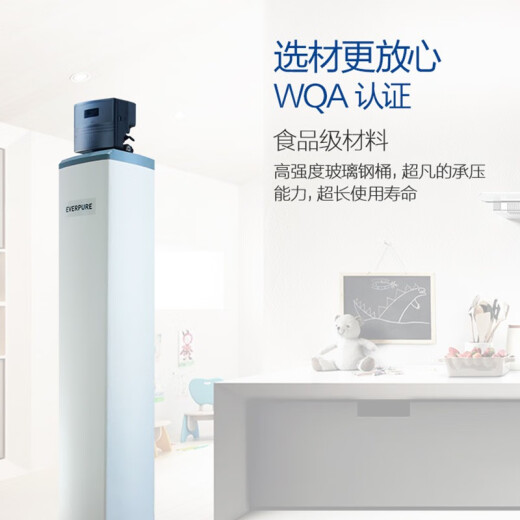 爱惠浦（Everpure） PCFE40F120型中央净水机大型净水器家用商用大流量全屋过滤 中央净水1.5吨/小时12040型号