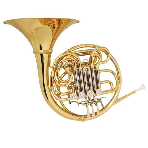 Horne Xinghai Horn B-flat Horn réglable Horne Double Row Horn XFH-300 amovible