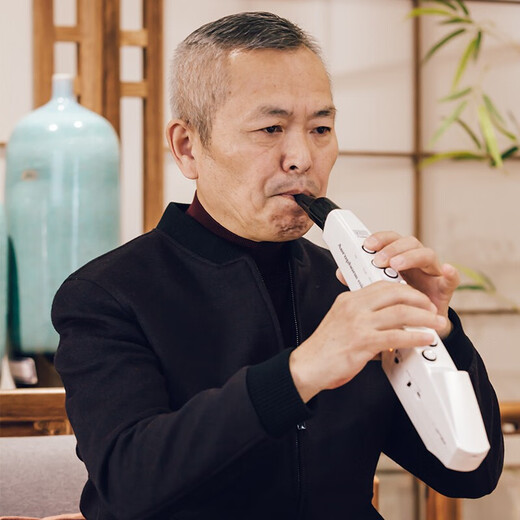 
Roland (Roland) hair tube AE01C comes with sound source speaker recorder fingering method electronic wind instrument for beginners AE01C+carrying bag+charging set+headphone gift bag