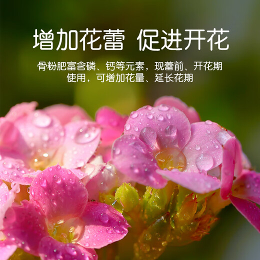 Greenpan home gardening bone meal flower fertilizer promotes flowering, degreasing, odorless calcium phosphorus organic plant universal type 500g