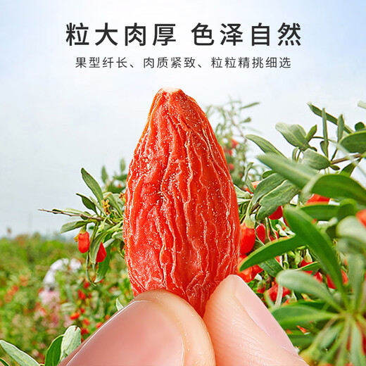 
Lei Yunshang [Official] Special wolfberry Ningxia Zhongning Red wolfberry Soaked with Chrysanthemum Cassia Tea in water 100g canned