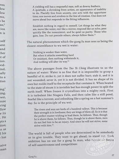 生活中的李小龙艺术家英文原版Bruce Lee Artist of Life John Little