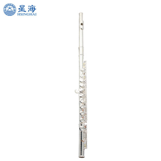 Sternseeflöte, anfänger silberverlagte C-Tuning-Flöte 16-Loch-Windinstrument Flöte E-121