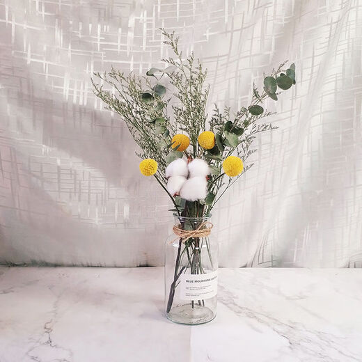 AIMAN dried flowers eucalyptus leaves Nordic style ins Nordic style small fresh living room ornaments diy home decoration ornaments SN strawberry fruit red 20 pieces without bottle